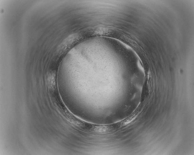 X0000059060127200510171949