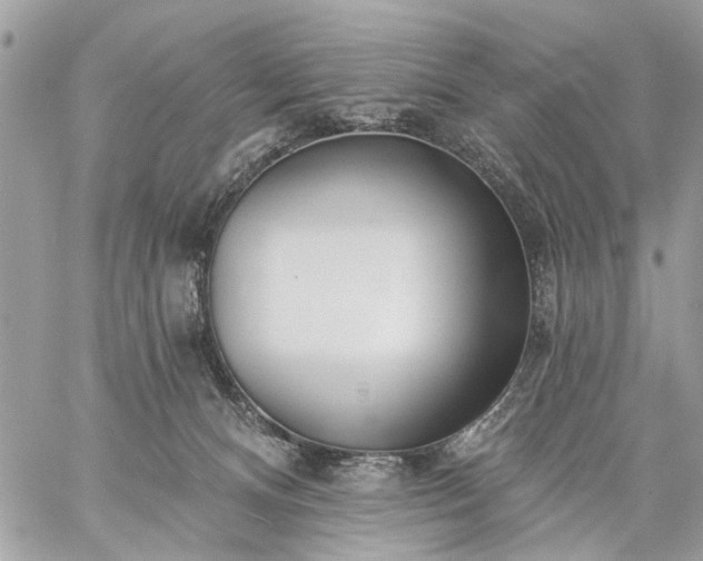 X0000059060128200510171949