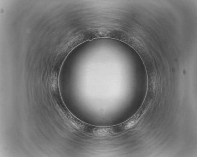 X0000059060129200510171949