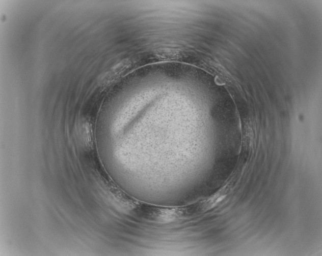 X0000059060130200510171949