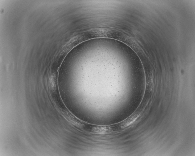 X0000059060131200510171949