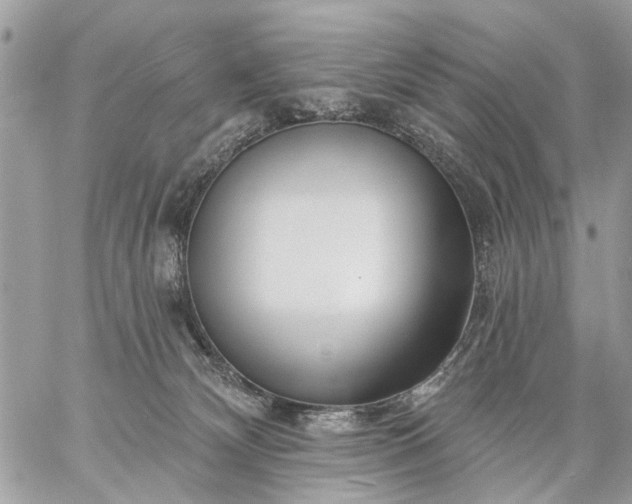 X0000059060132200510171949