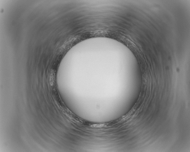 X0000059060133200510171949