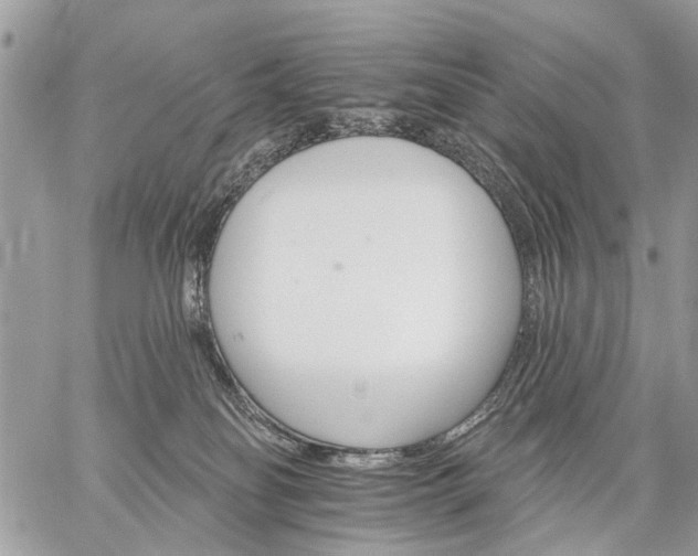 X0000059060134200510171949