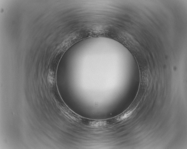 X0000059060135200510171949