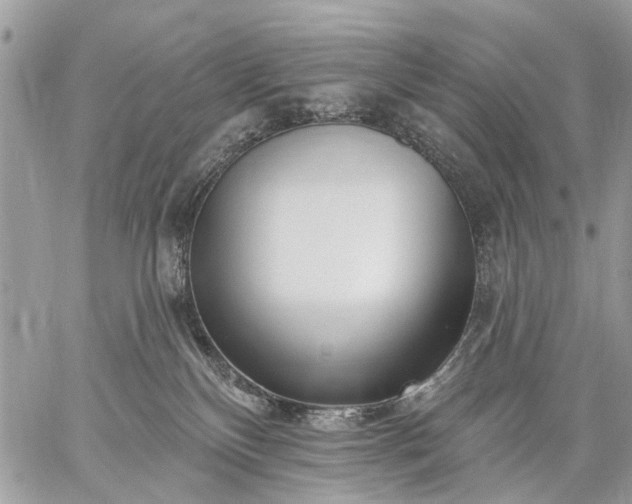 X0000059060136200510171949