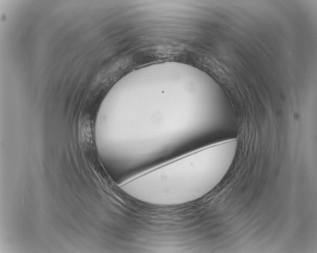 X0000059060137200510171949