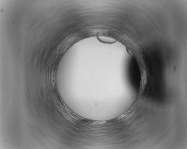 X0000059060138200510171949