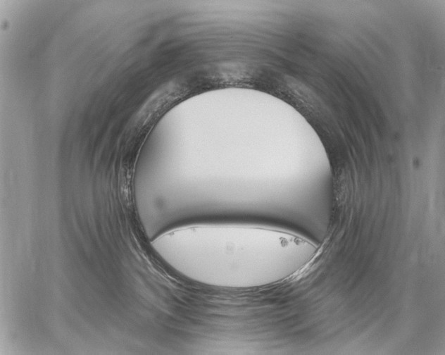 X0000059060140200510171949