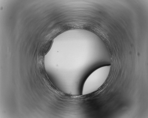 X0000059060141200510171949