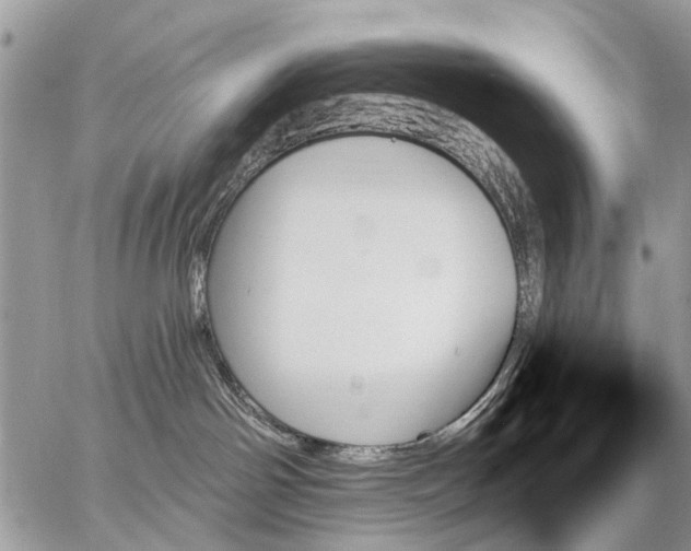 X0000059060142200510171949