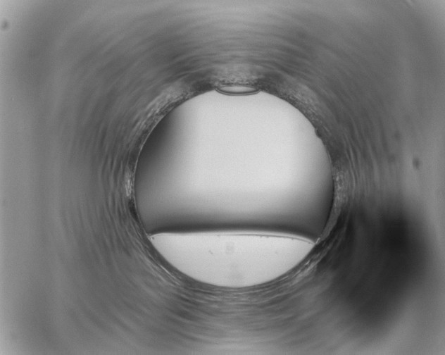 X0000059060143200510171949