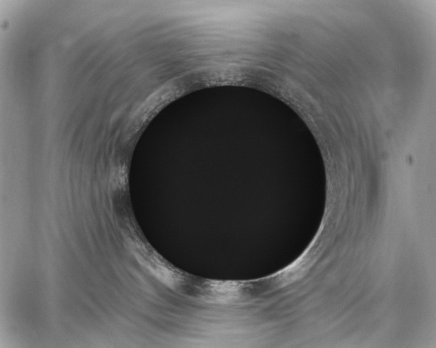 X0000059060144200510171949