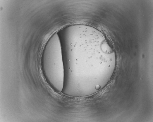 X0000059060145200510171948