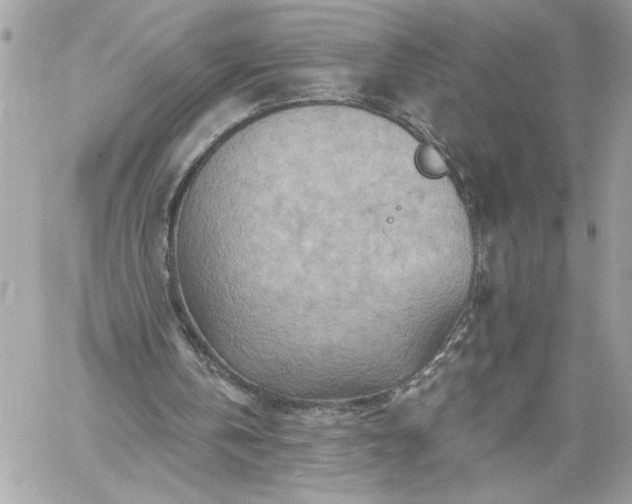 X0000059060146200510171948