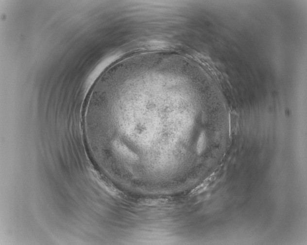 X0000059060147200510171948