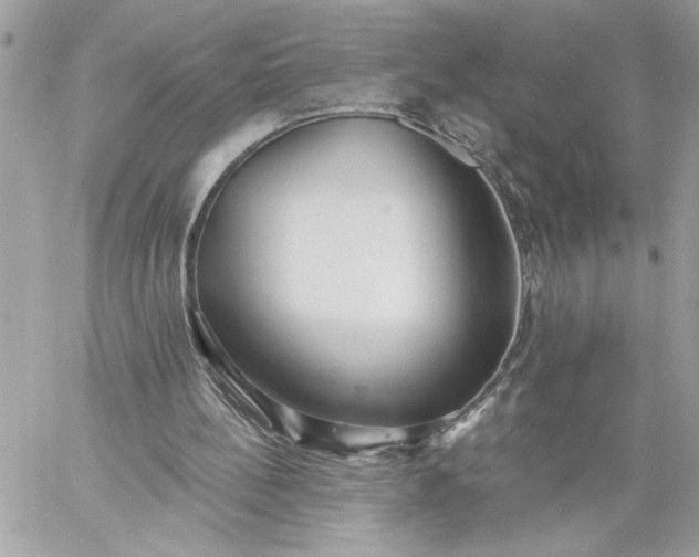 X0000059060148200510171948