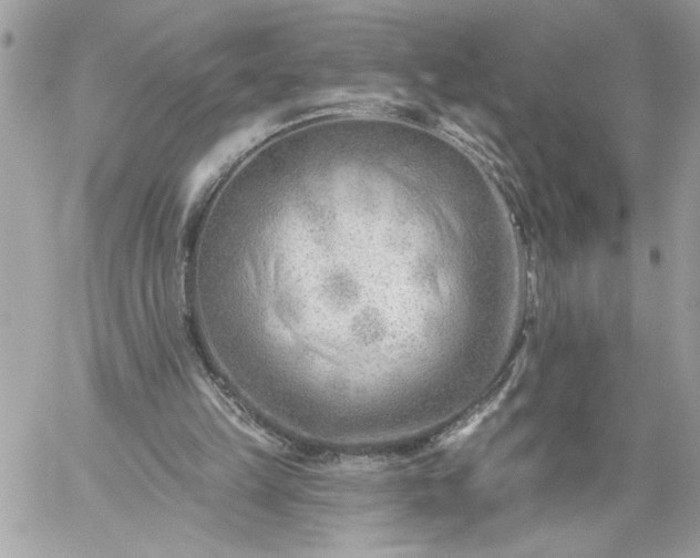 X0000059060149200510171948