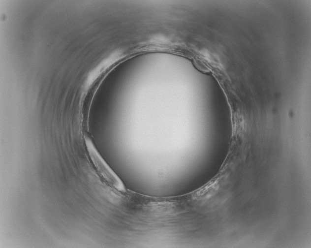 X0000059060150200510171948