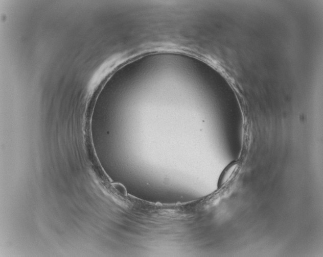 X0000059060151200510171948