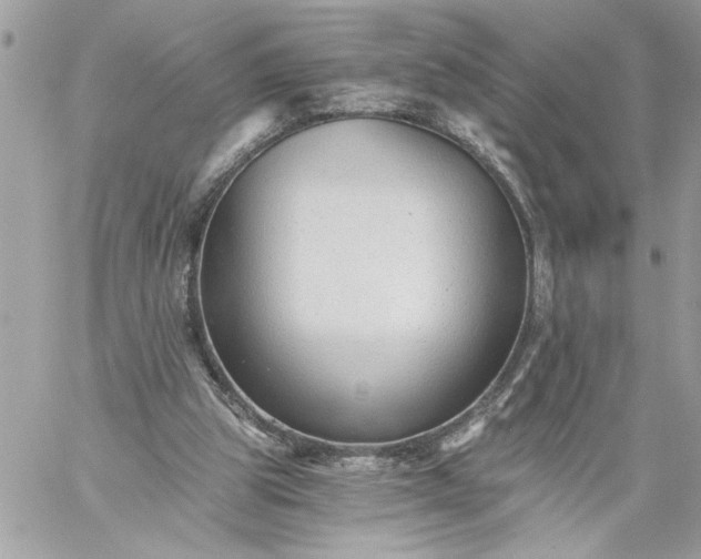 X0000059060153200510171948