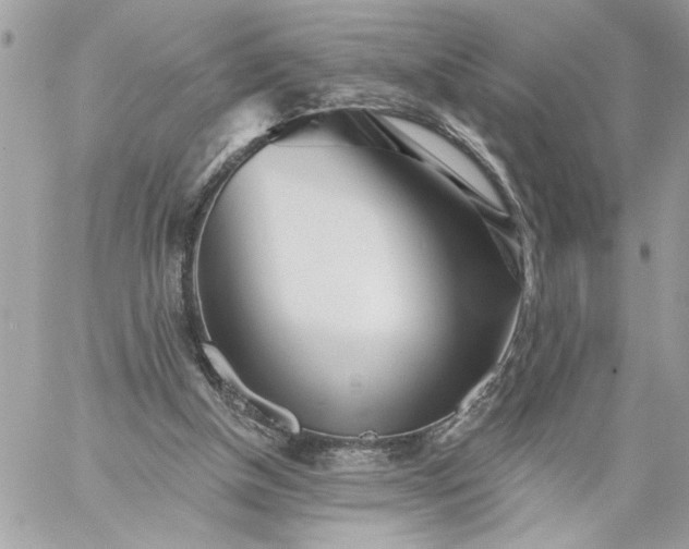 X0000059060154200510171948