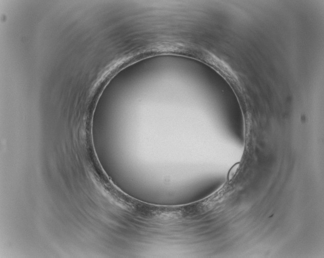 X0000059060155200510171948