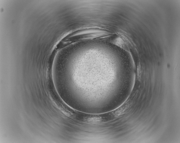 X0000059060156200510171948