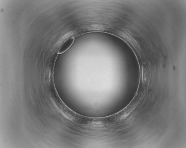 X0000059060157200510171948