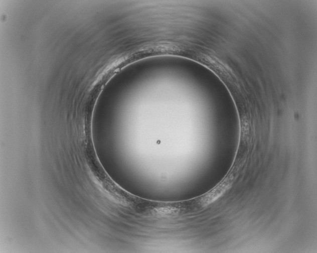 X0000059060158200510171948