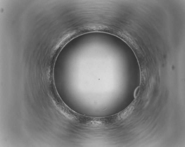 X0000059060159200510171948