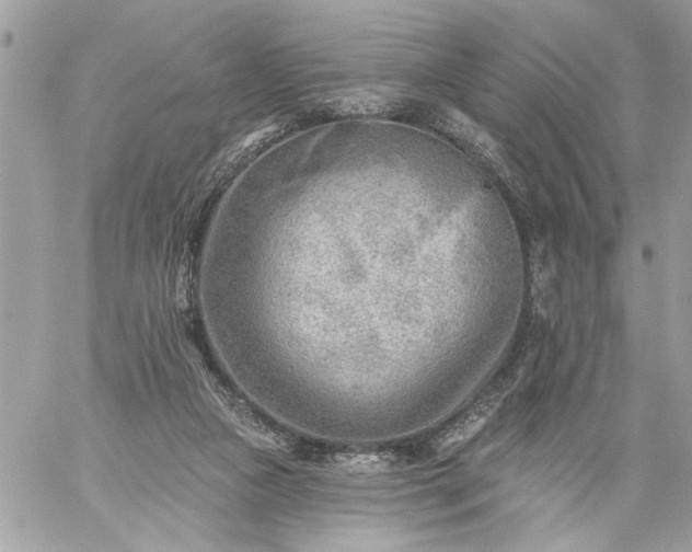 X0000059060161200510171948