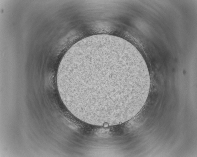 X0000059060162200510171948