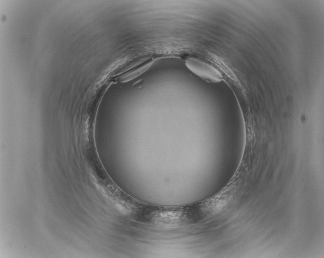 X0000059060163200510171948