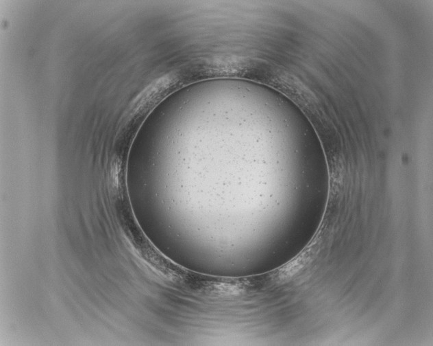 X0000059060166200510171948