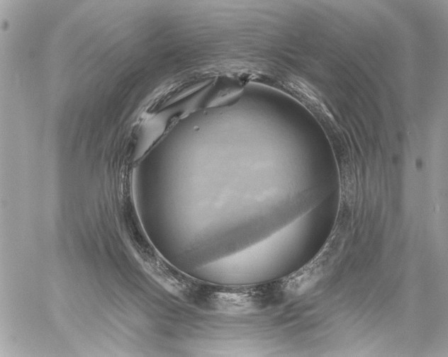 X0000059060167200510171948