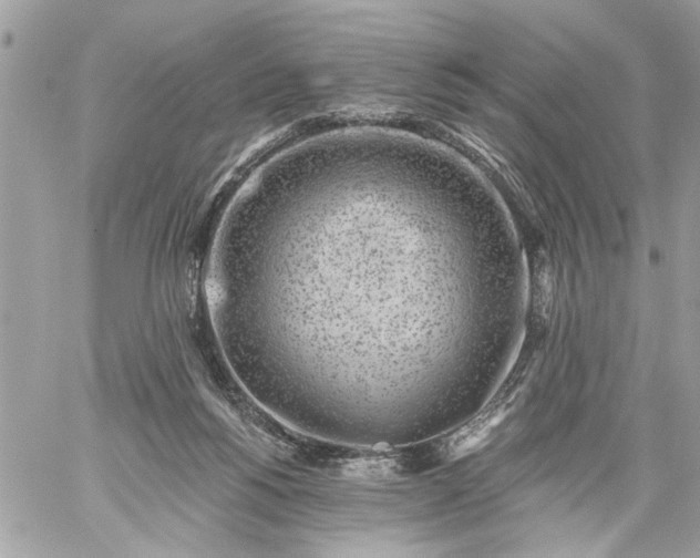 X0000059060168200510171948