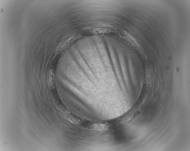 X0000059060169200510171948