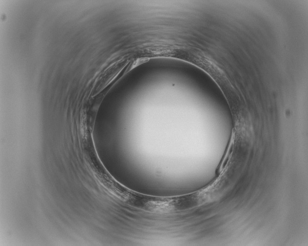 X0000059060170200510171948