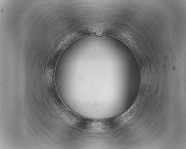 X0000059060171200510171948