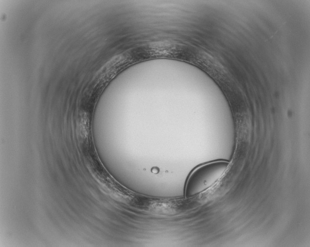 X0000059060174200510171948