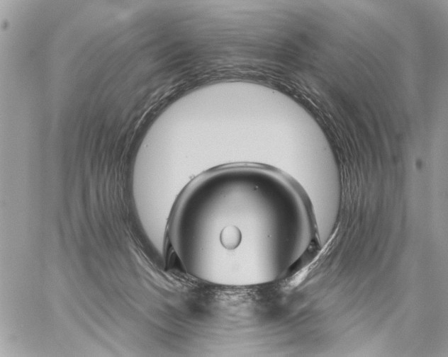 X0000059060175200510171948