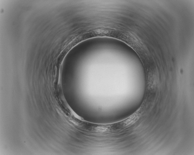 X0000059060176200510171948