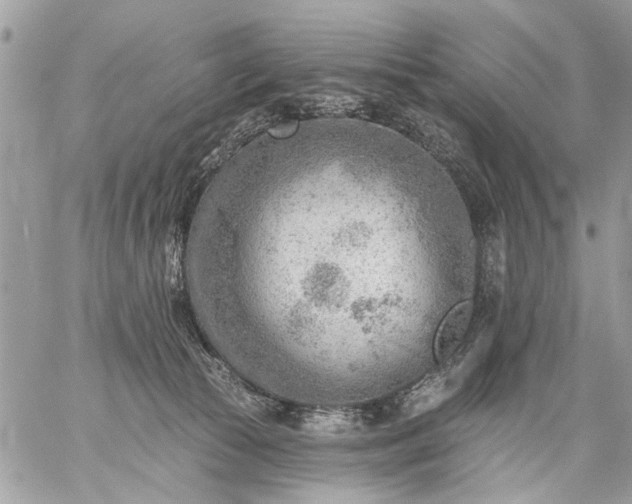 X0000059060177200510171948