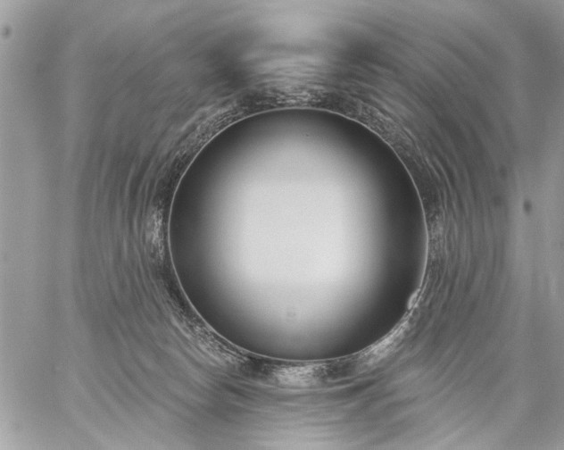 X0000059060178200510171948