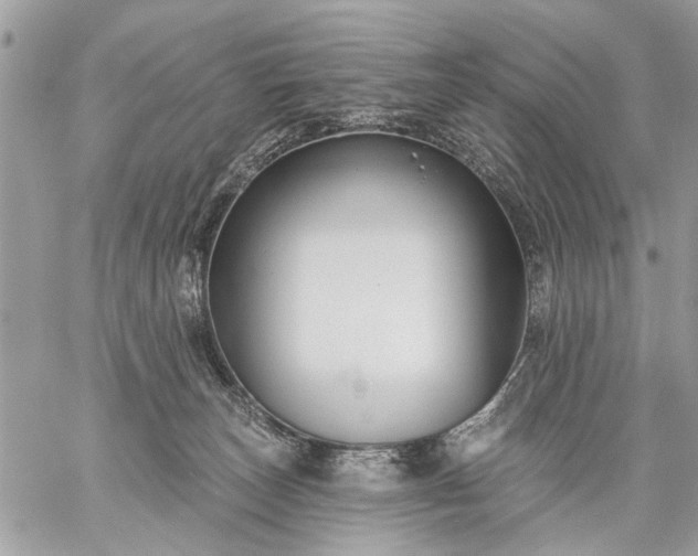 X0000059060179200510171948