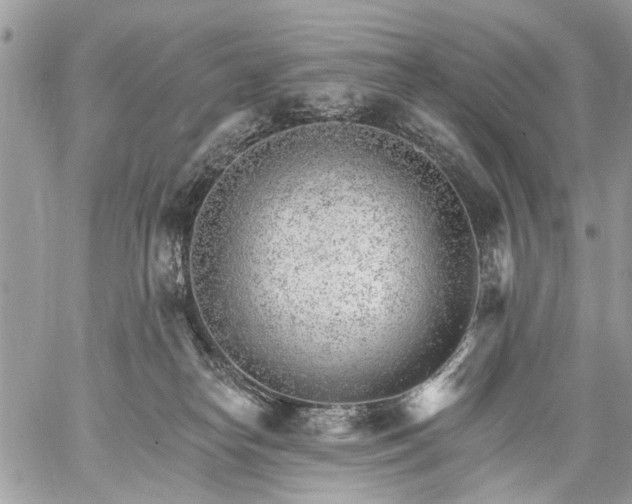 X0000059060182200510171948