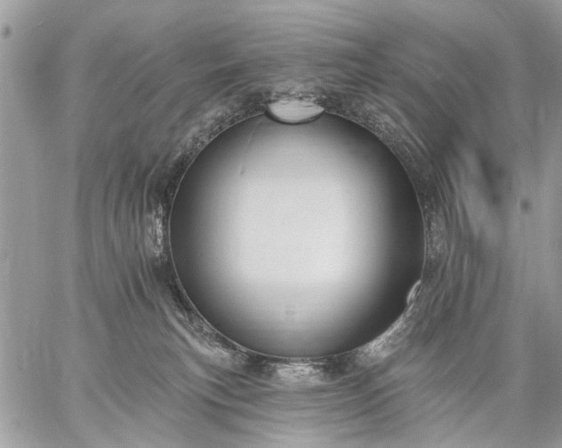 X0000059060183200510171948