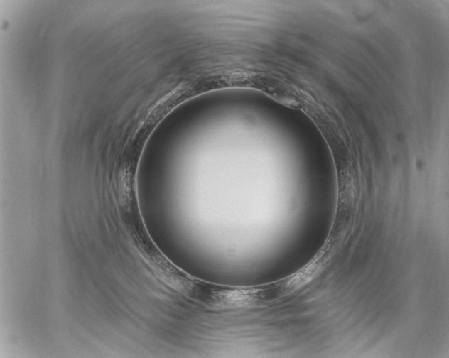 X0000059060184200510171948