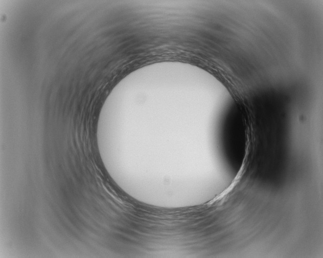 X0000059060186200510171948